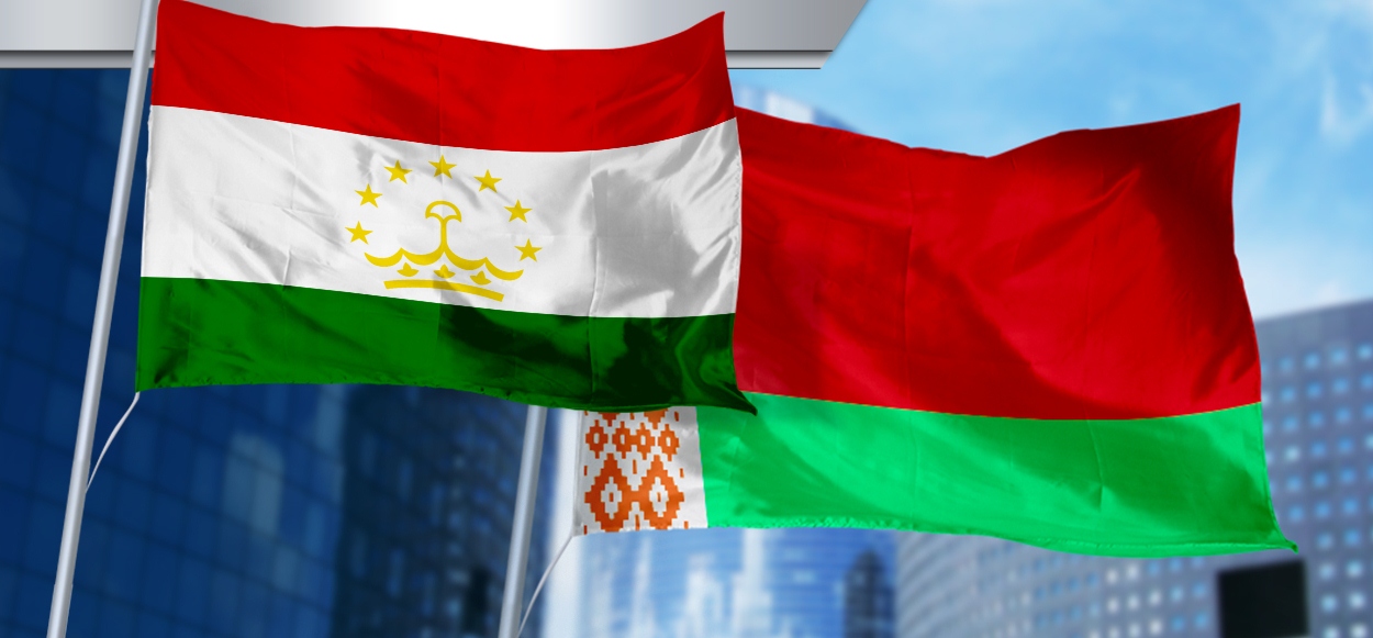 Таджикистан и Беларусь обсудили подготовку заседания межправительственной комиссии