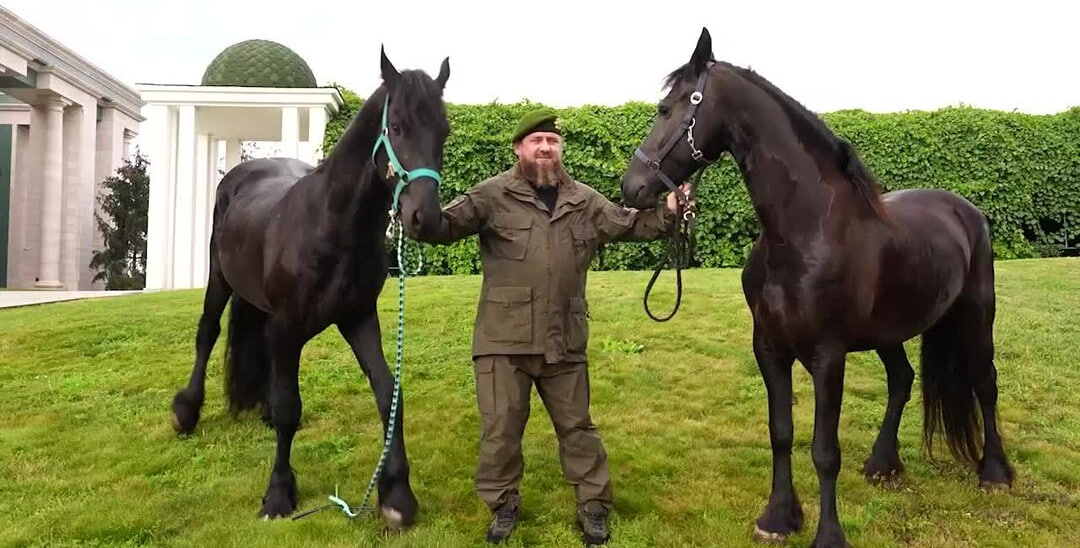 Глава Чечни Рамзан Кадыров преподнес подарок президенту Узбекистана Шавкату Мирзиёеву