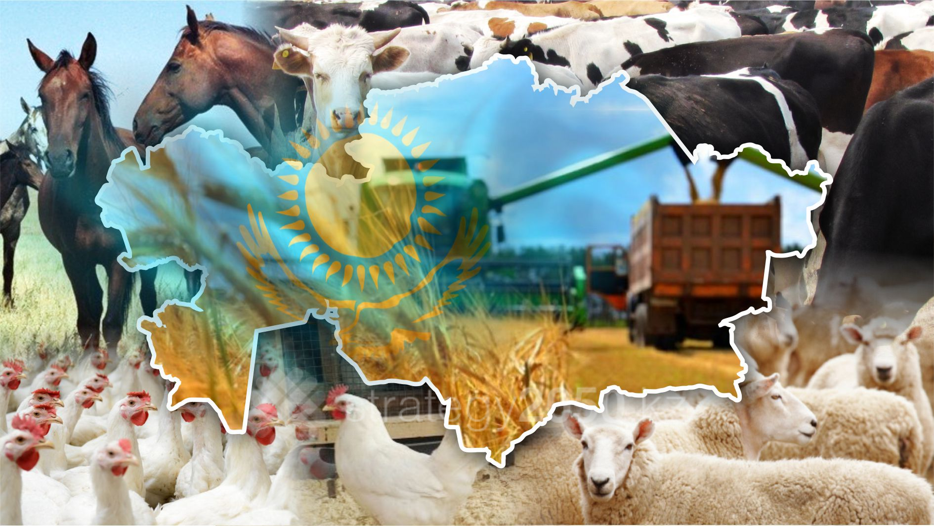 Экспорт сельхозпродукции из Казахстана в Китай увеличился вдвое