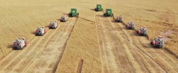 Таджикистан нарастил объем поставок сельхозпродукции