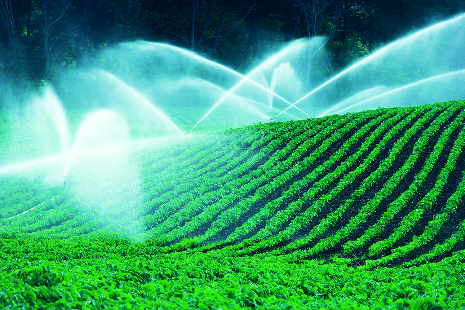 Узбекистан направил Казахстану почти 4 млрд кубометров воды для полива