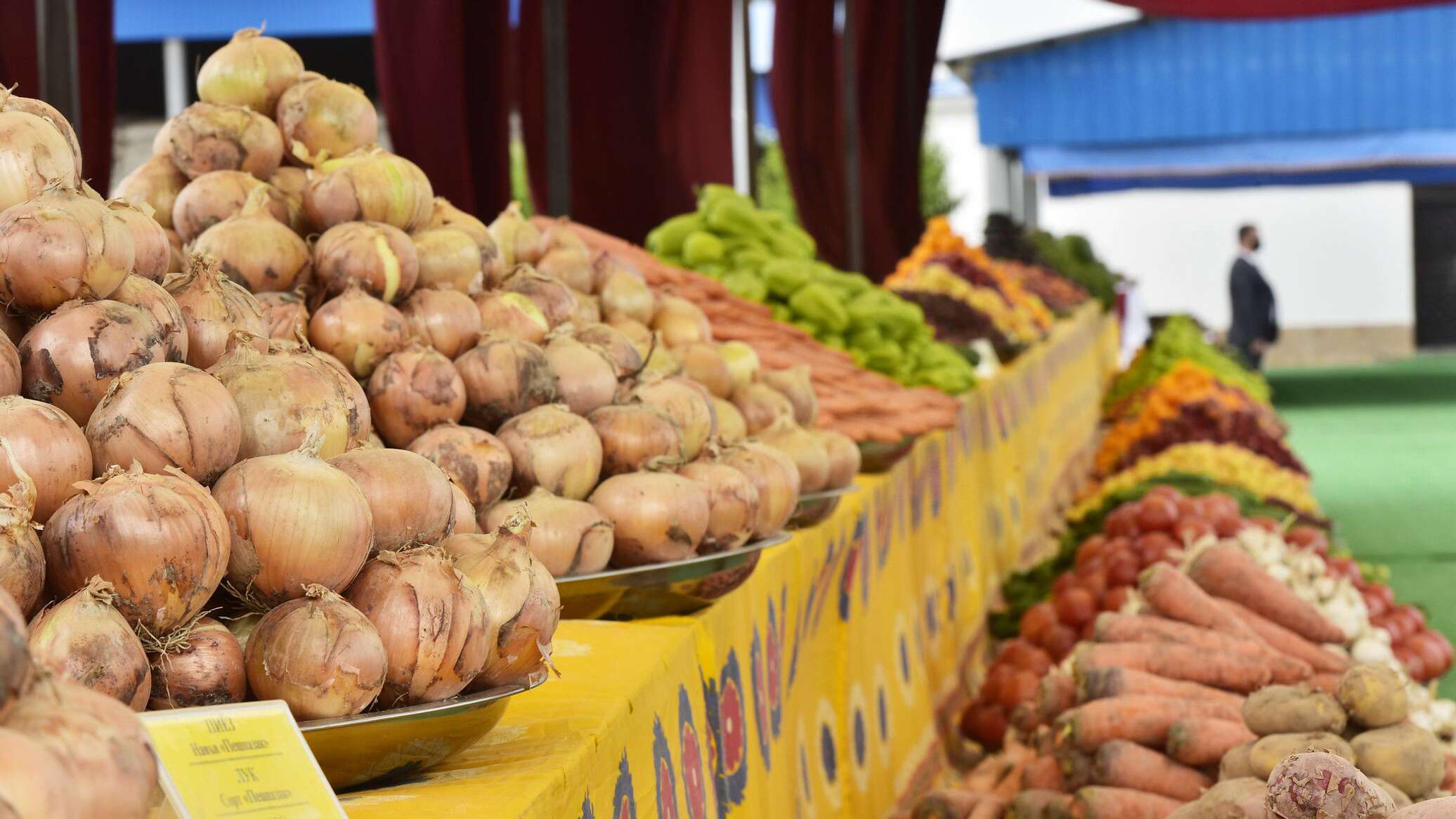 Таджикистан увеличил экспорт сельхозтоваров в Россию