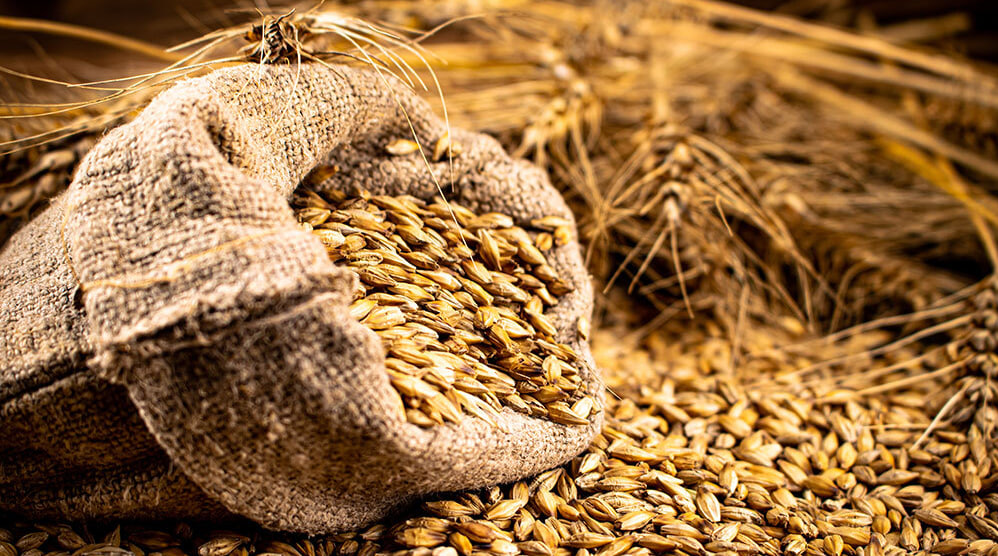 В Казахстане начала дешеветь пшеница 