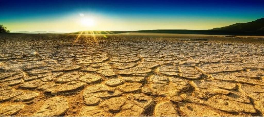 На конференции в Самарканде обсуждают засуху в Центральной Азии 