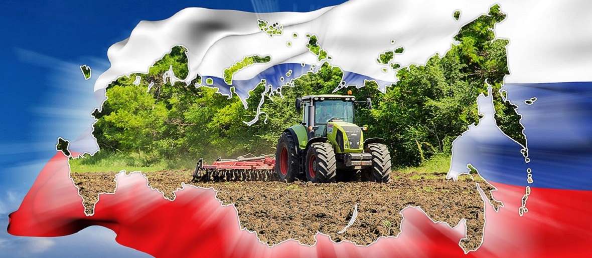 Добавленная стоимость сельского хозяйства: Россия вышла в лидеры постсоветского пространства